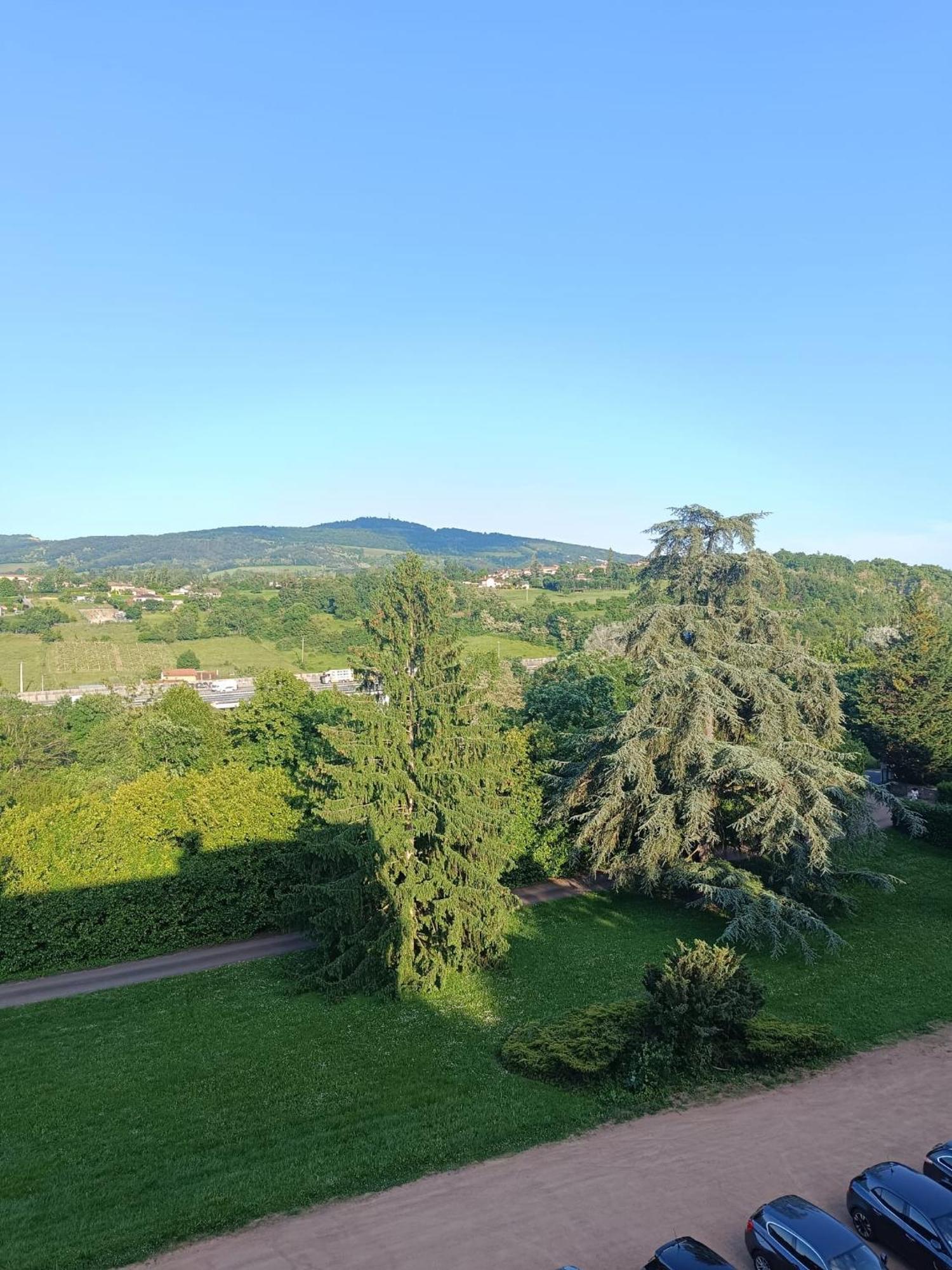 Sejourner Au Chateau De La Roue Grand Appartement Lissieu Exterior photo